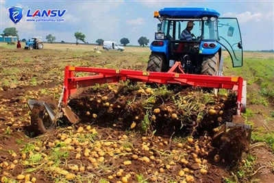 Kombajn krompirja za prodajo